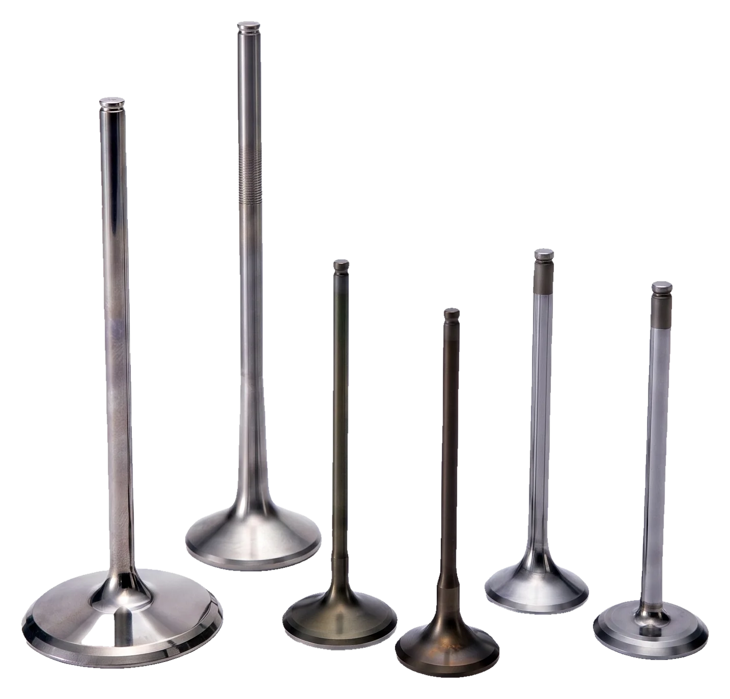 Six engine valves of different sizes and finishes